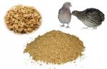 Consumo de alimento para gallinas ponedoras por día