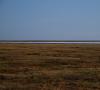 مناطق قطبی. تاندرا در سرزمین اصلی روسیه ویژگی های مشخصه خاک تاندرا