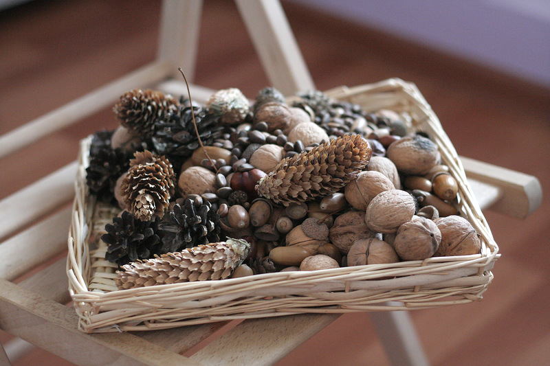 img65752e23 можно ли подкармливать птиц овсяными хлопьями