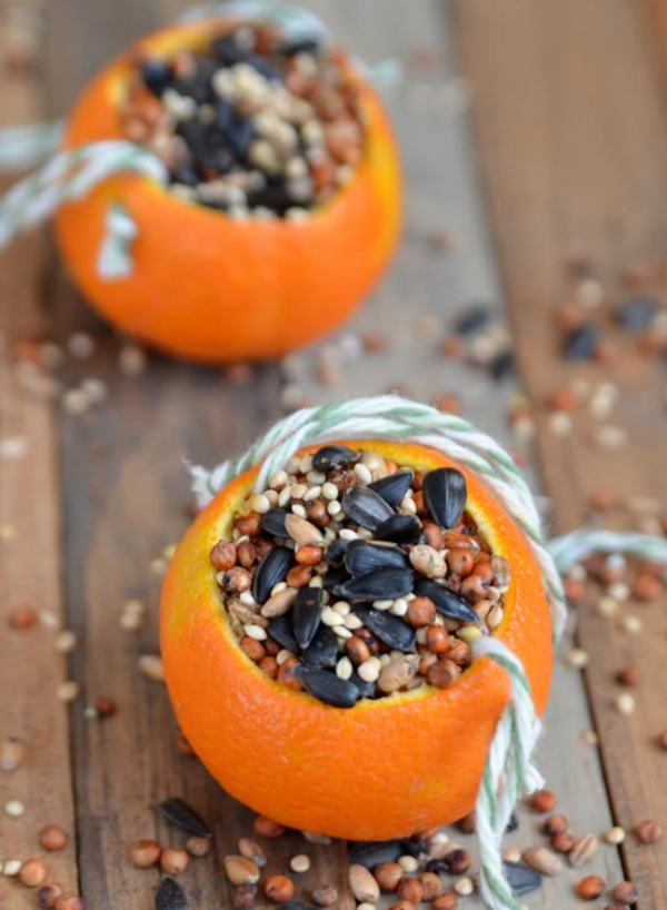 screenshot530e96e можно ли подкармливать птиц овсяными хлопьями