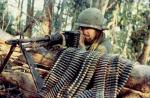 Guerra de Vietnam: causas, curso de los acontecimientos, consecuencias.