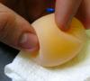 Czy kury mogą znosić jaja bez koguta?