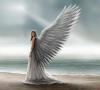 Знаки и предупреждения ангелов Какие знаки могут подавать ангелы хранители