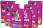 Composición y valor nutricional de Whiskas de comida seca y húmeda para gatos