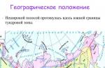 Územie Lesotundry. Lesná tundra Ruska. Úzke pásmo sa tiahne pozdĺž južnej hranice zóny tundry. Geografická poloha