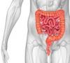 Cómo mejorar la digestión y la función intestinal