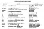 Preparación para el examen en el idioma ruso - preguntas de teoría