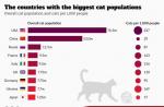 Kiek kačių yra pasaulyje ir kur jos gyvena?