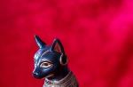 แมวเป็นสัตว์ศักดิ์สิทธิ์ของชาวอียิปต์ซึ่งชาวอียิปต์โบราณถือว่าแมวโบราณ