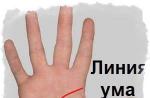 ¿Qué significa la línea de la mente de interrupción en la palma de su mano?