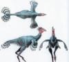 Pôvod vtákov Moderné vtáky sa vyvinuli z