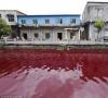 ¿Por qué el agua en todo el mundo se está poniendo roja como la sangre?