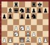 Erizo en el ajedrez: un libro de texto de estrategia y tácticas