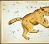 La constelación Ursa Major y Ursa Minor en el cielo: una lista de estrellas, cómo encontrar, leyendas y descripción