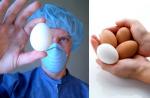 ¿Cómo se ve la salmonella en los huevos y las aves?