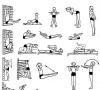 Un conjunto de ejercicios para la corrección de la postura en niños en edad preescolar Ejercicios para la prevención de trastornos de la postura en niños en edad preescolar