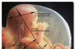 ¿Qué es la fetometría y por qué es necesario conocer los parámetros del feto durante el embarazo?