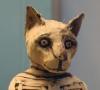เทพีอียิปต์ที่มีหัวเป็นแมว หมายถึงอะไร เรื่องแมวสัตว์ศักดิ์สิทธิ์สำหรับเด็ก