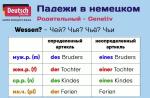 Preposiciones alemanas con traducción: en Akkusativ, Dativ, Genitiv