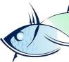 حقایقی در مورد علامت زودیاک ماهی ها: ویژگی های کلی، سازگاری، طالع بینی علامت زودیاک ماهی ها چگونه است
