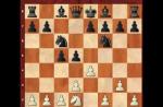 Aperturas (aperturas) en ajedrez: inglés, catalán, King's Indian y Patzer's Beginning