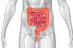 Cómo mejorar la digestión y la función intestinal