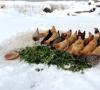 خوراک مرغ رایگان برای زمستان