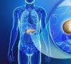 Enfermedad pancreática: síntomas, tratamiento Páncreas síntomas de la enfermedad cómo tratar