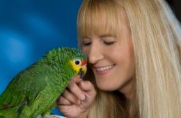 Узнайте секрет, как научить попугаев говорить