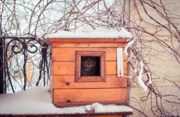 Casa de invierno para gatos